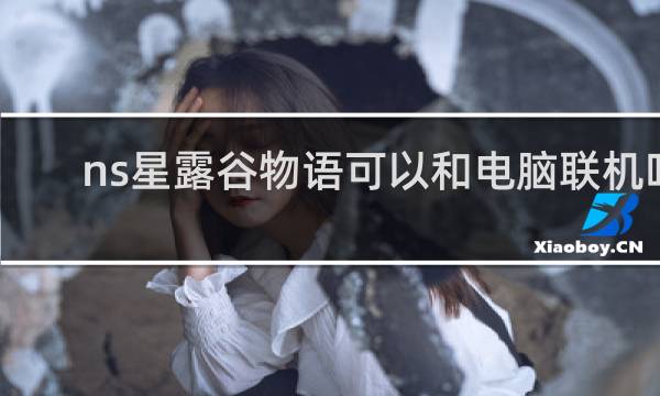 ns星露谷物语可以和电脑联机吗