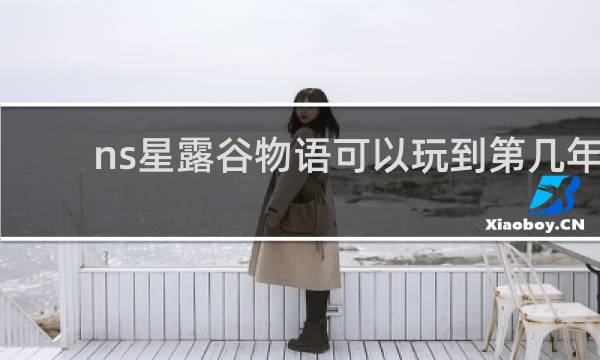ns星露谷物语可以玩到第几年