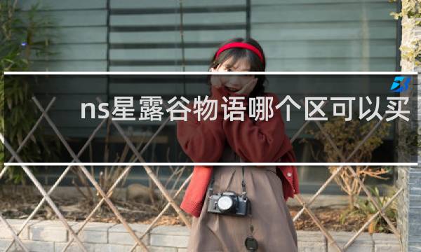 ns星露谷物语哪个区可以买