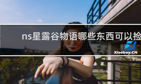 ns星露谷物语哪些东西可以捡