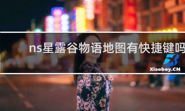 ns星露谷物语地图有快捷键吗