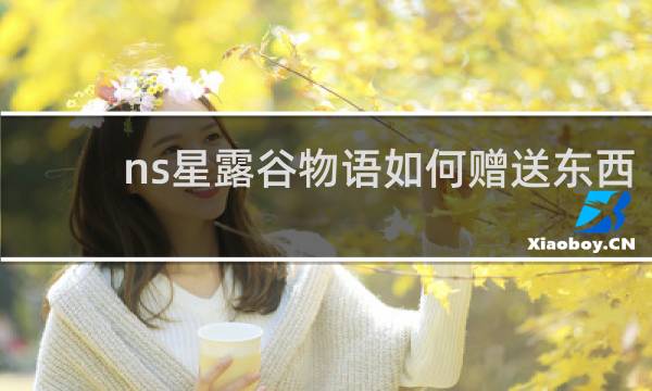 ns星露谷物语如何赠送东西