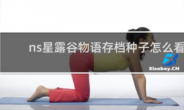 ns星露谷物语存档种子怎么看