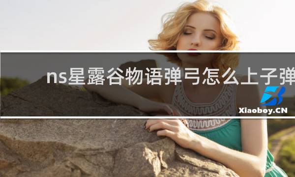 ns星露谷物语弹弓怎么上子弹