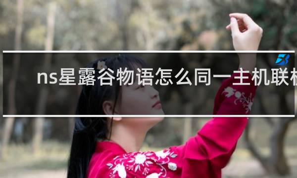 ns星露谷物语怎么同一主机联机
