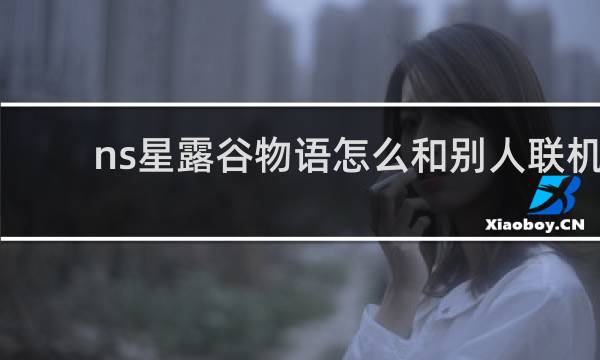 ns星露谷物语怎么和别人联机