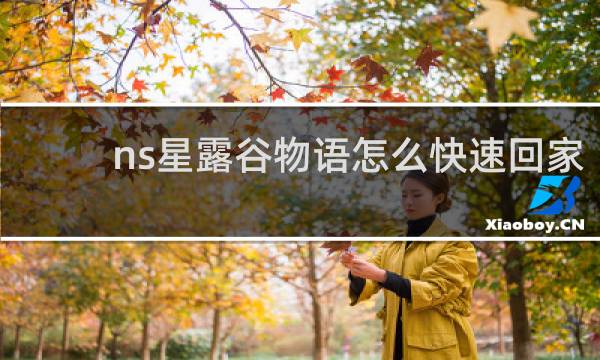 ns星露谷物语怎么快速回家