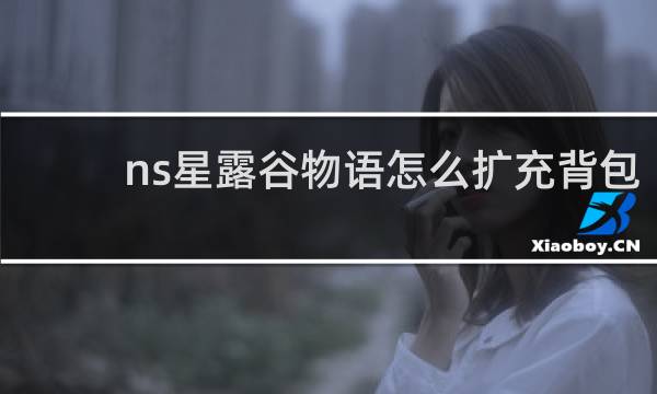 ns星露谷物语怎么扩充背包