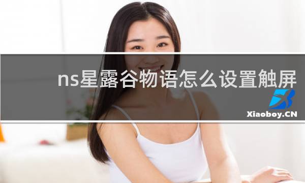 ns星露谷物语怎么设置触屏