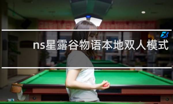 ns星露谷物语本地双人模式