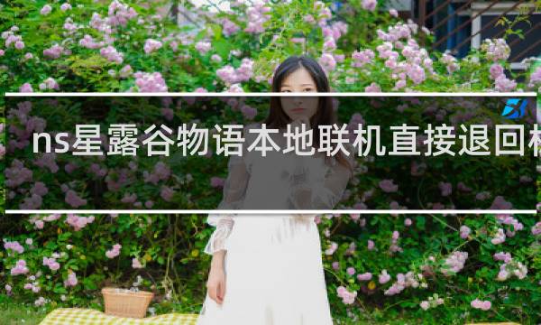 ns星露谷物语本地联机直接退回标题