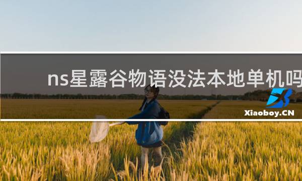 ns星露谷物语没法本地单机吗