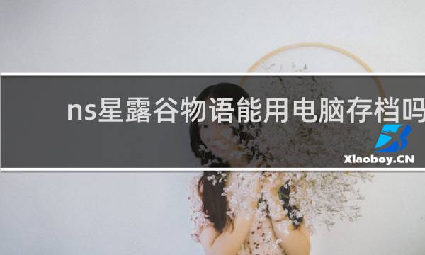 ns星露谷物语能用电脑存档吗