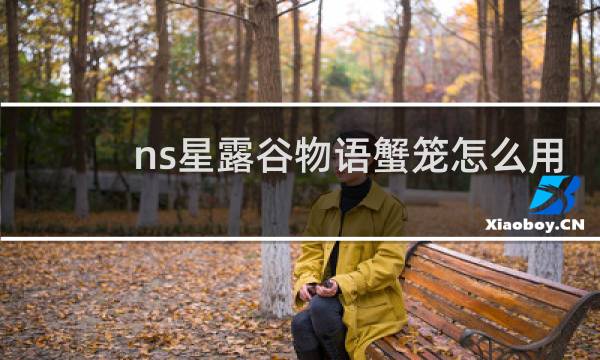 ns星露谷物语蟹笼怎么用