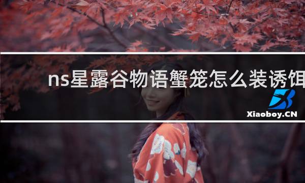 ns星露谷物语蟹笼怎么装诱饵