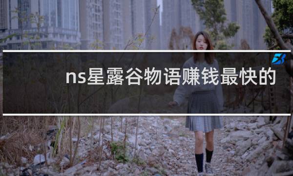 ns星露谷物语赚钱最快的