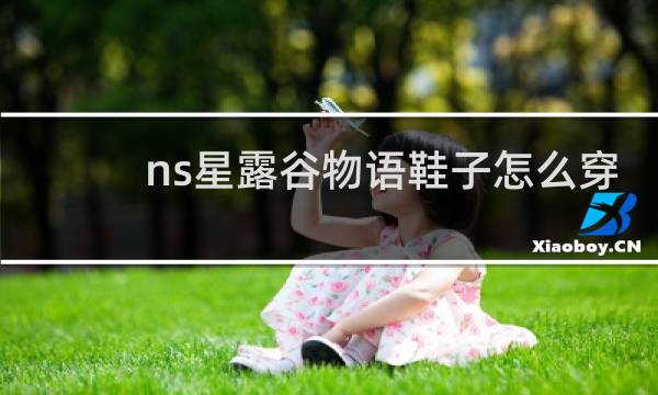 ns星露谷物语鞋子怎么穿