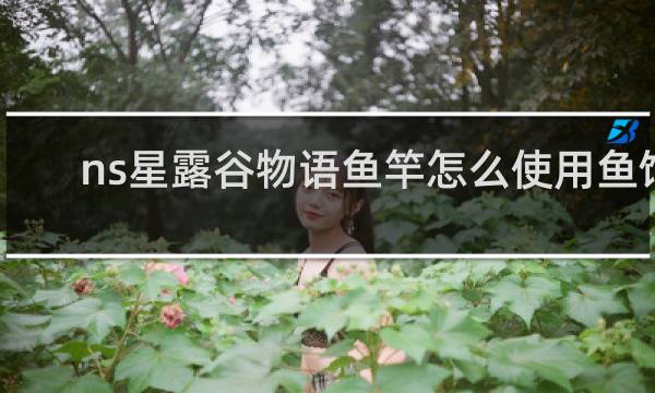 ns星露谷物语鱼竿怎么使用鱼饵