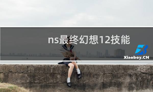 ns最终幻想12技能