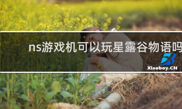 ns游戏机可以玩星露谷物语吗