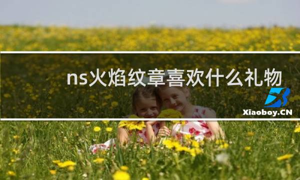 ns火焰纹章喜欢什么礼物