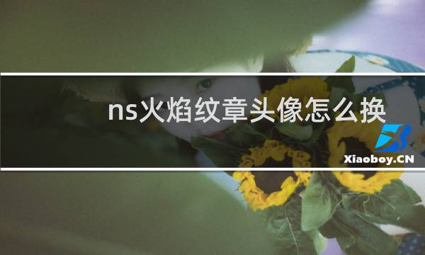 ns火焰纹章头像怎么换