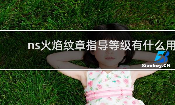 ns火焰纹章指导等级有什么用