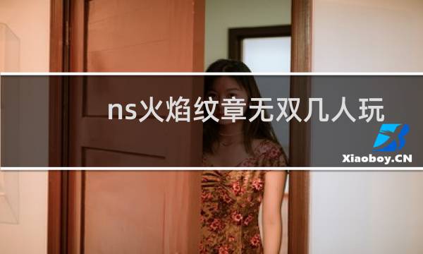 ns火焰纹章无双几人玩