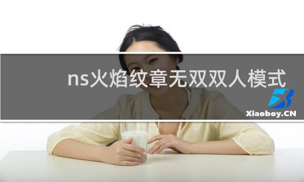 ns火焰纹章无双双人模式