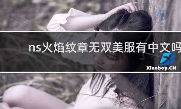 ns火焰纹章无双美服有中文吗