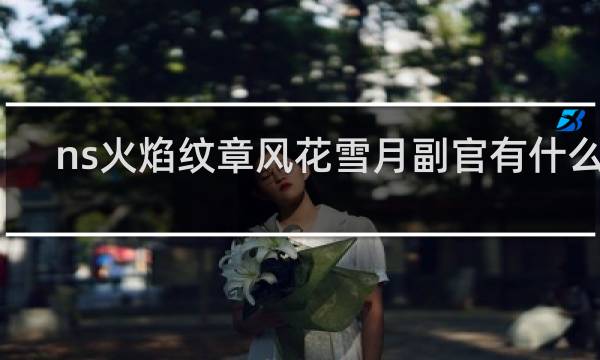 ns火焰纹章风花雪月副官有什么用