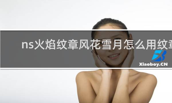 ns火焰纹章风花雪月怎么用纹章