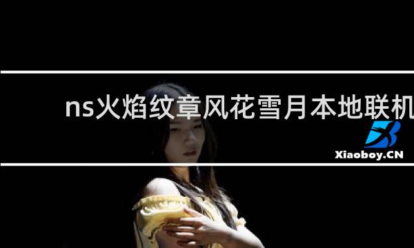ns火焰纹章风花雪月本地联机