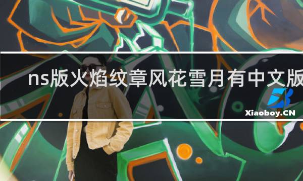 ns版火焰纹章风花雪月有中文版吗