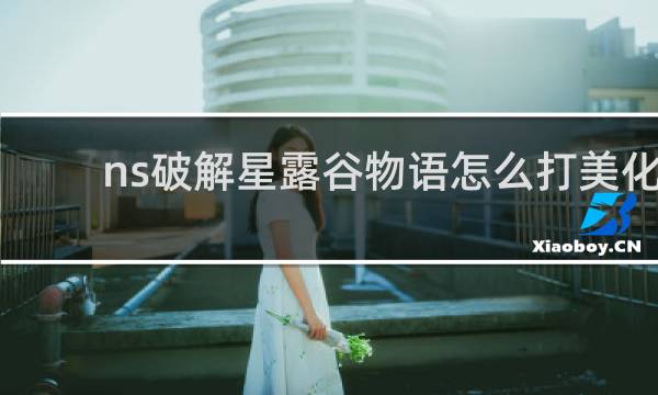 ns破解星露谷物语怎么打美化