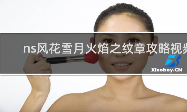 ns风花雪月火焰之纹章攻略视频
