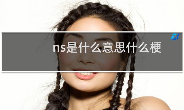 ns是什么意思什么梗