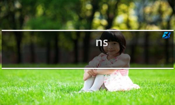 ns 修改(NSS修改CODE详细操作教程(附图)及NSS软件下载)