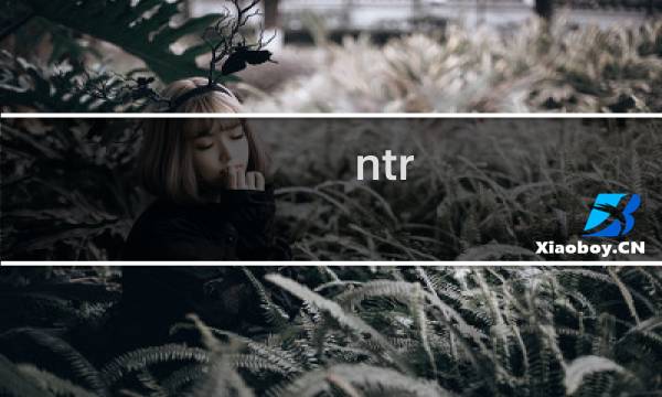 ntr 女神攻略