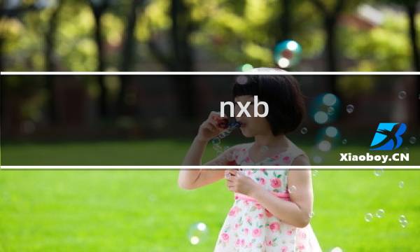 nxb nv攻略