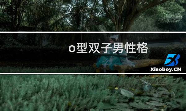 o型双子男性格