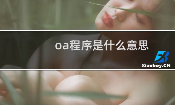 oa程序是什么意思