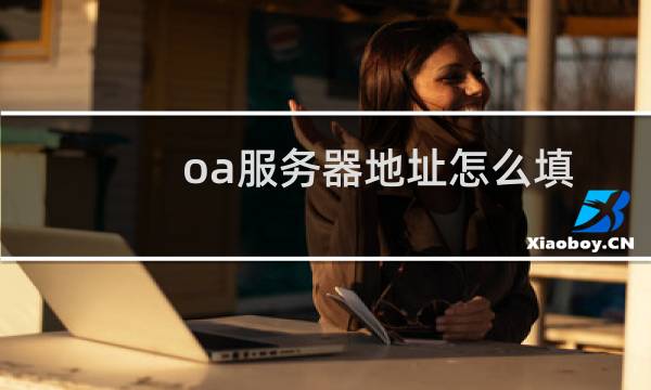 oa服务器地址怎么填（oa的服务器地址填什么）图片