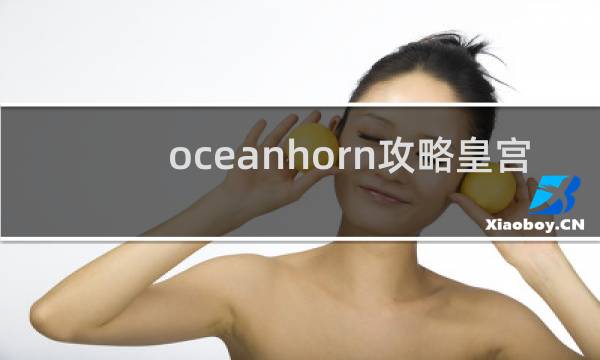 oceanhorn攻略皇宫