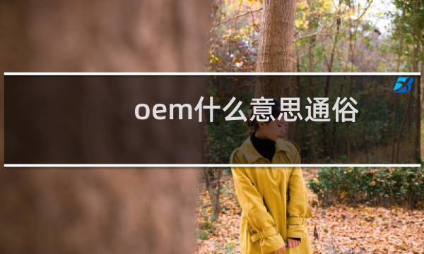 oem什么意思通俗(oem什么意思)