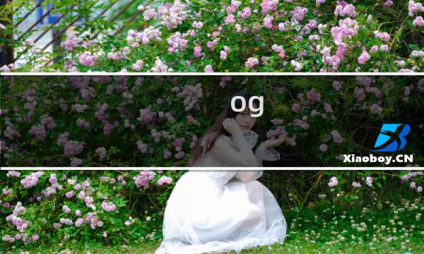 og 2攻略
