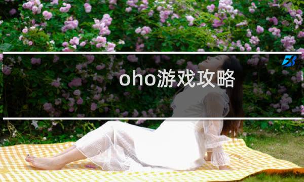 oho游戏攻略