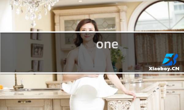 one plus是什么手机