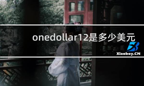 onedollar12是多少美元