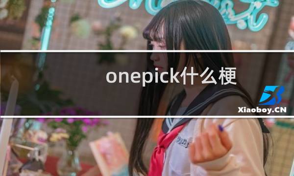 onepick什么梗